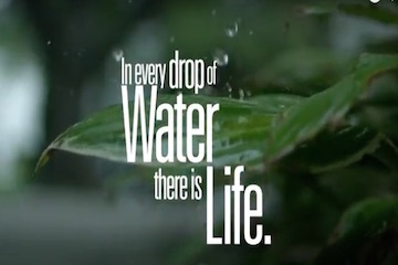 in every drop of water there is life